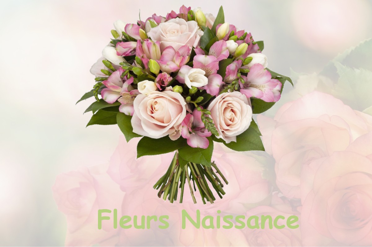 fleurs naissance LOURES-BAROUSSE